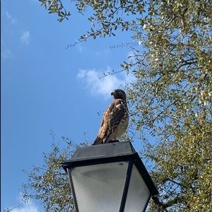 Meet your Posher, Janel